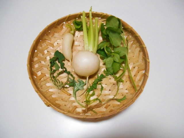 ちゃんと意味がある 春の七草の由来と七草粥の効能をご紹介 プリザーブドフラワーのはな物語