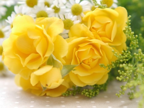 父の日に贈る花 お父さんのイメージ 花言葉から選んでみよう プリザーブドフラワーのはな物語