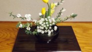 茶道の花入れと茶花の基本