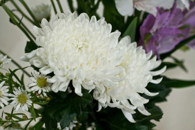 葬儀で花を贈りたい 知っておきたい知識とマナー プリザーブドフラワーのはな物語