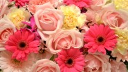 フラワーバレンタインの花ギフト