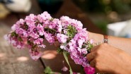 男性に贈る花ギフトの選び方