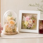 プリザーブドフラワーを上品に見せる選び方｜安っぽく見えない色・形・サイズのコツ