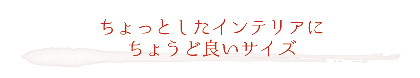 プリザーブドフラワー　waローズ　ちょっとしたインテリアにちょうど良いサイズ