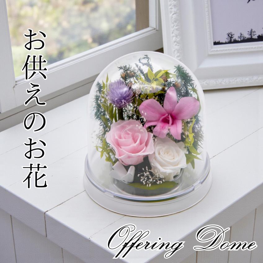 Offering Dome(ピンク)【仏花・お供え・お悔やみの花】【送料無料】