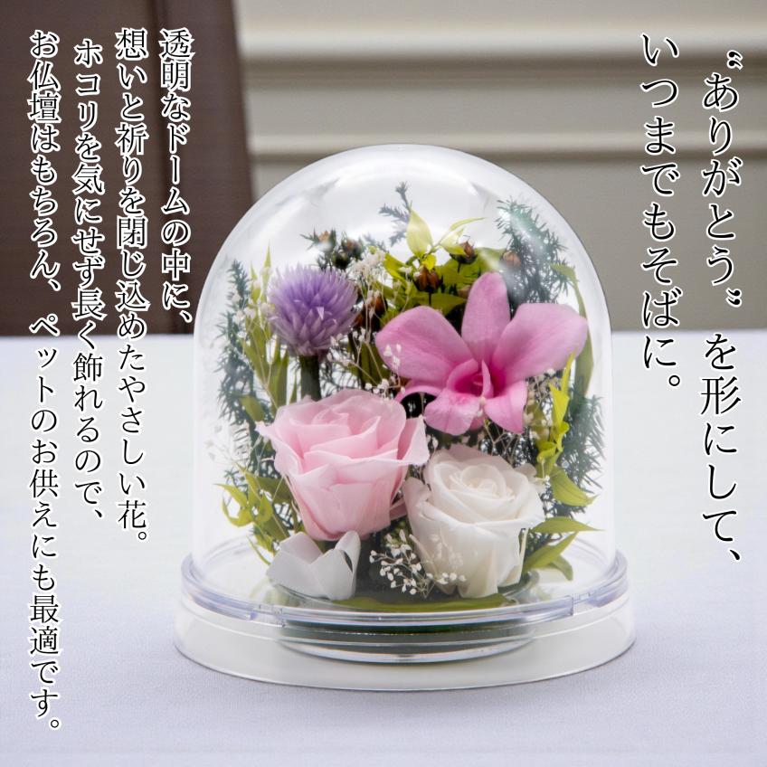 Offering Dome(ピンク)【仏花・お供え・お悔やみの花】【送料無料】