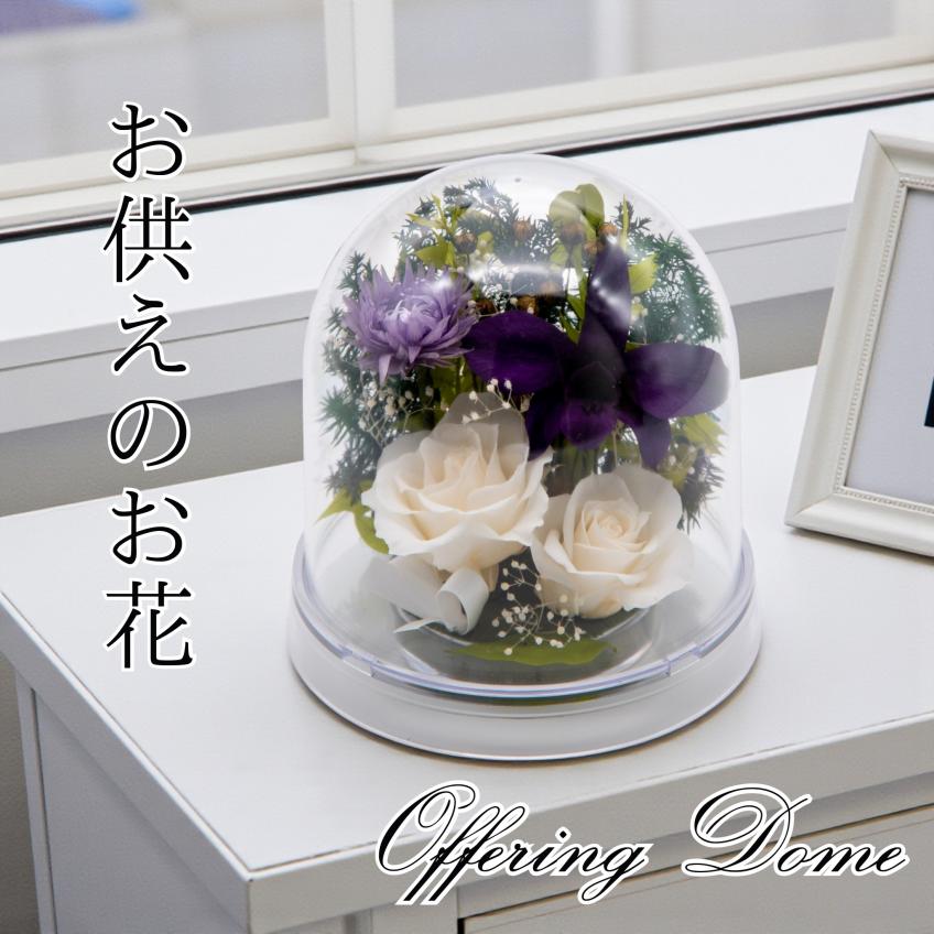 Offering Dome(ホワイト)【仏花・お供え・お悔やみの花】【送料無料】