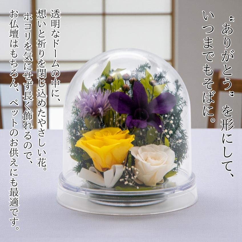 Offering Dome(イエロー)【仏花・お供え・お悔やみの花】【送料無料】