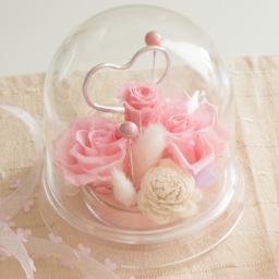 【ココロン】特別注文商品