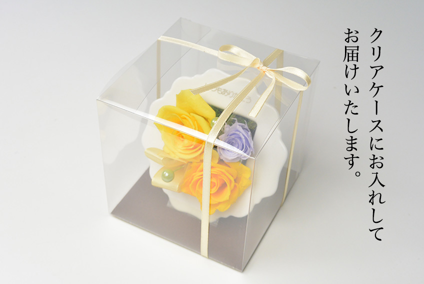 ビアンカ(ピンク)