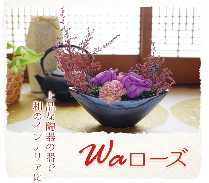 Waローズ(紫苑色)