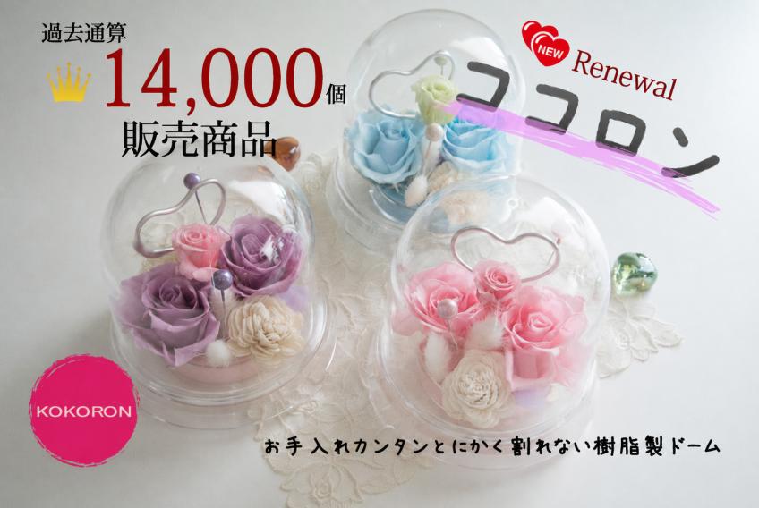 ココロン(ミント)【送料無料】