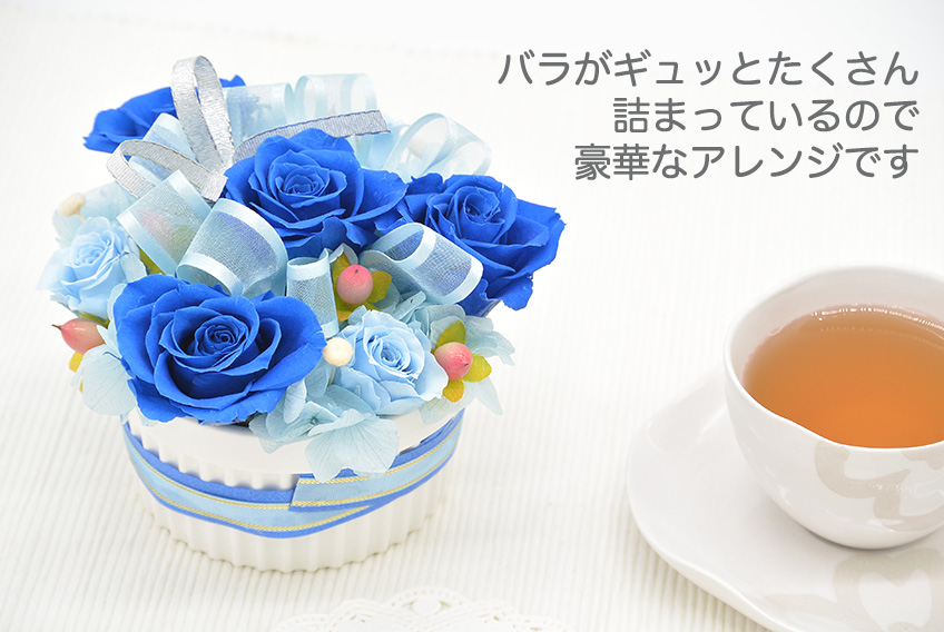 カップケーキ(ブルー)【送料無料】