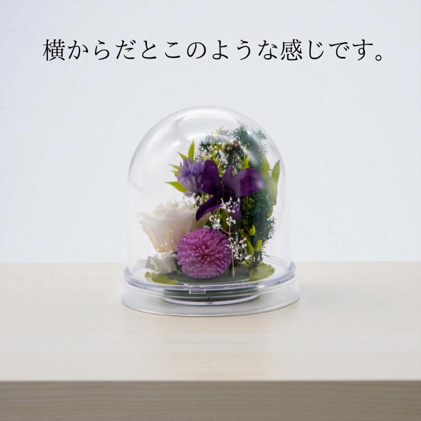 Offering Dome(ホワイト)【仏花・お供え・お悔やみの花】【送料無料】