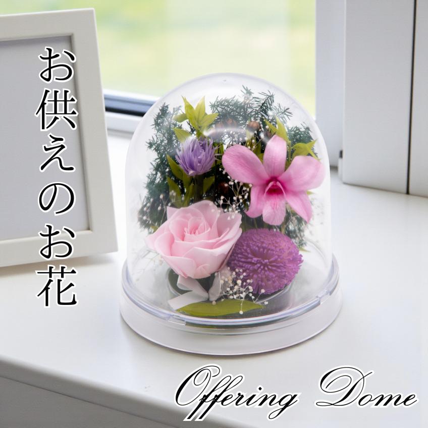 Offering Dome(ピンク)【仏花・お供え・お悔やみの花】【送料無料】