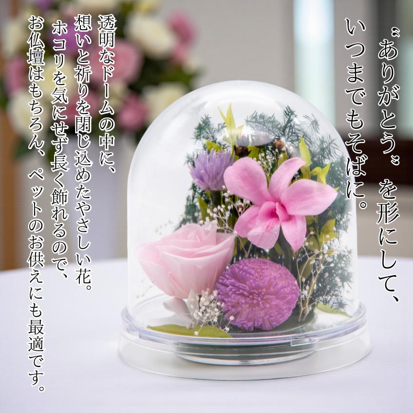 Offering Dome(ピンク)【仏花・お供え・お悔やみの花】【送料無料】
