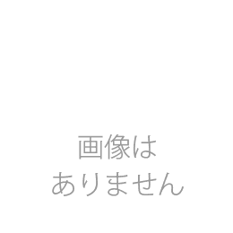 ココロン】特別注文商品