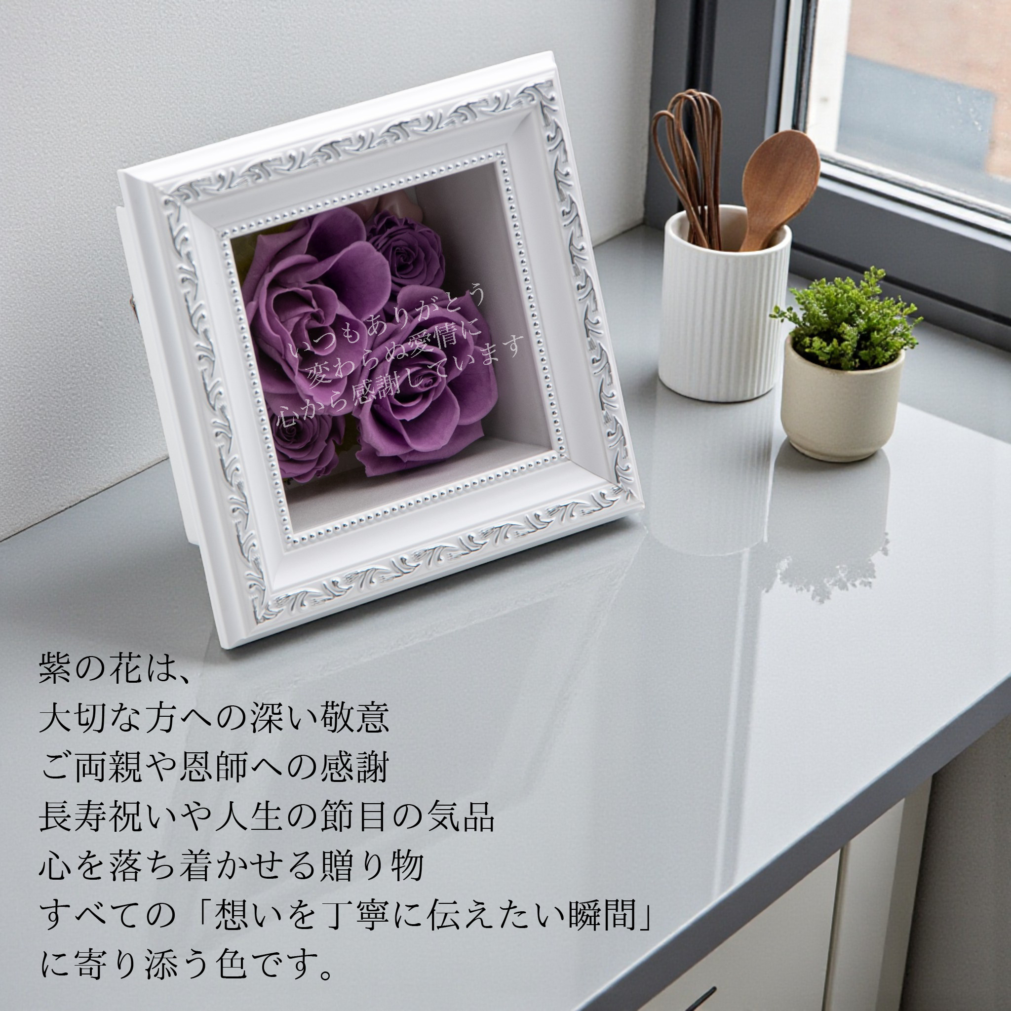 ラベンダー紫の花言葉と贈るシーン