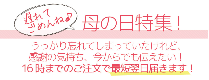 遅れてゴメンね♪ 母の日特集！ うっかり忘れてしまっていたけれど、感謝の気持ち、今からでも伝えたい！16時までのご注文で最短翌日届きます！