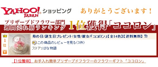 ランキング受賞歴