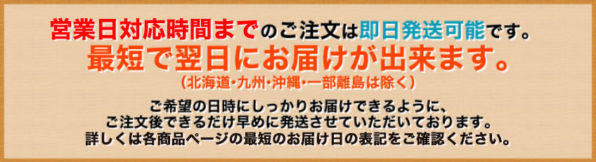 即日発送可能です。