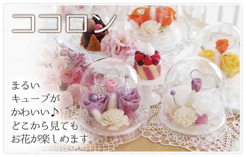 birthday2016_12_b