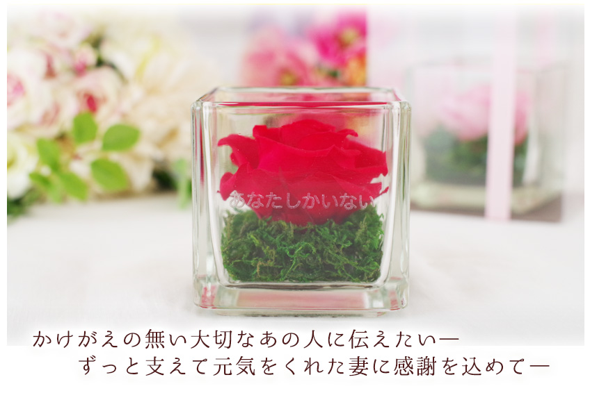 hanakotoba_04_01