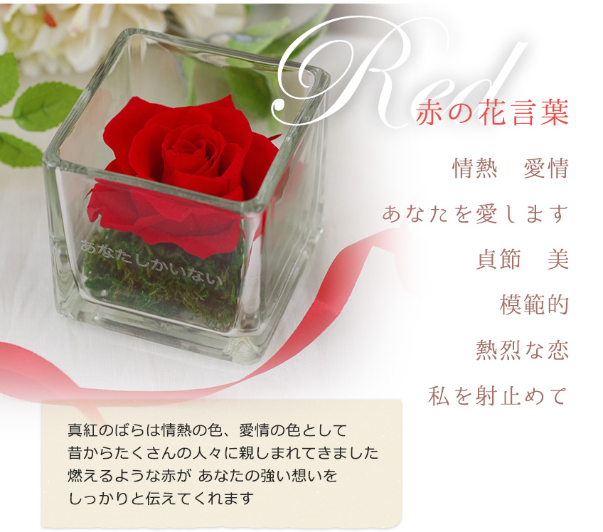 hanakotoba_04_01