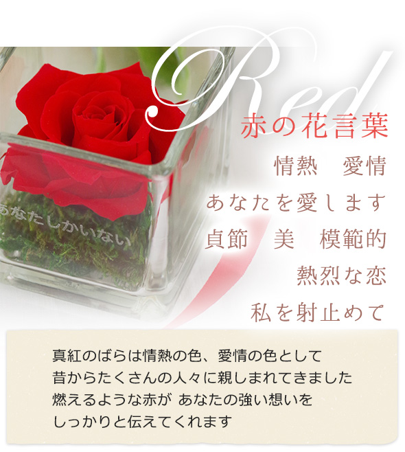 hanakotoba_04_01