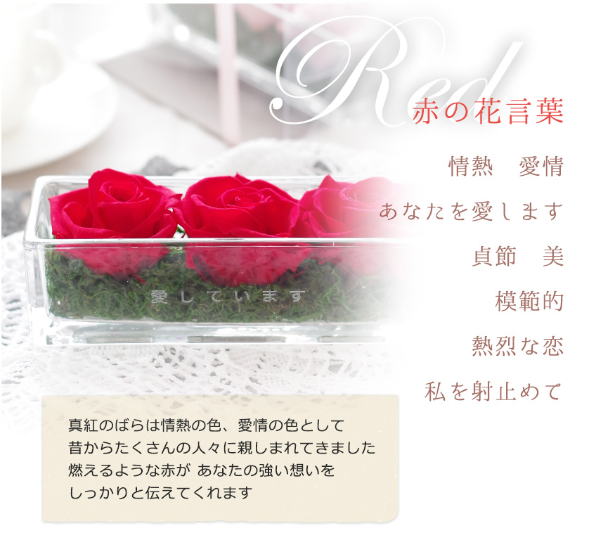 hanakotoba_04_01