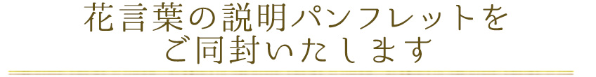 hanakotoba_04_01