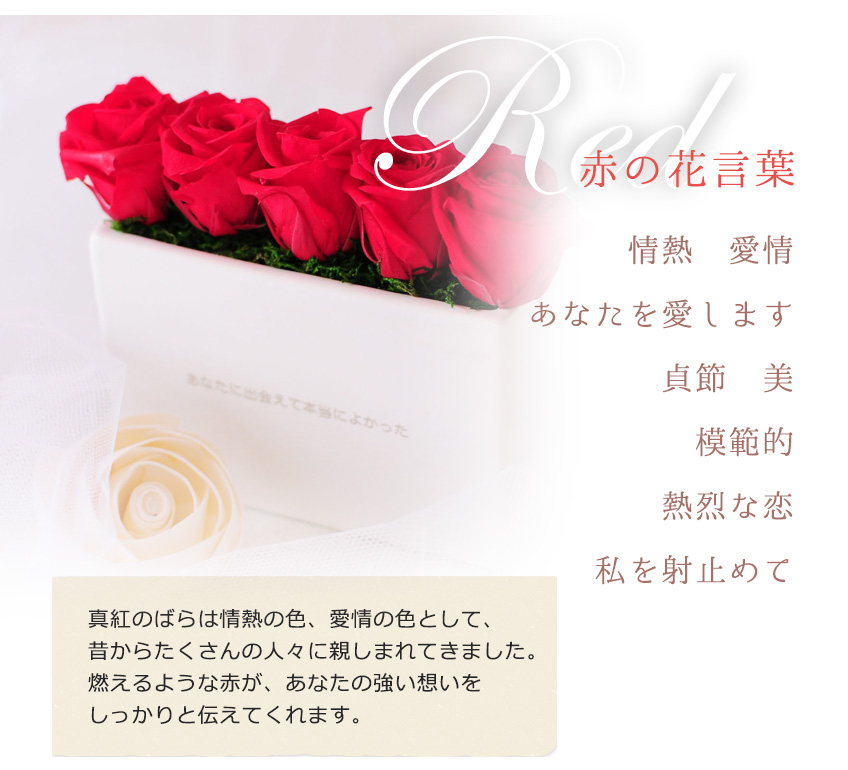 hanakotoba_04_01
