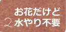 お花だけど水やり不要
