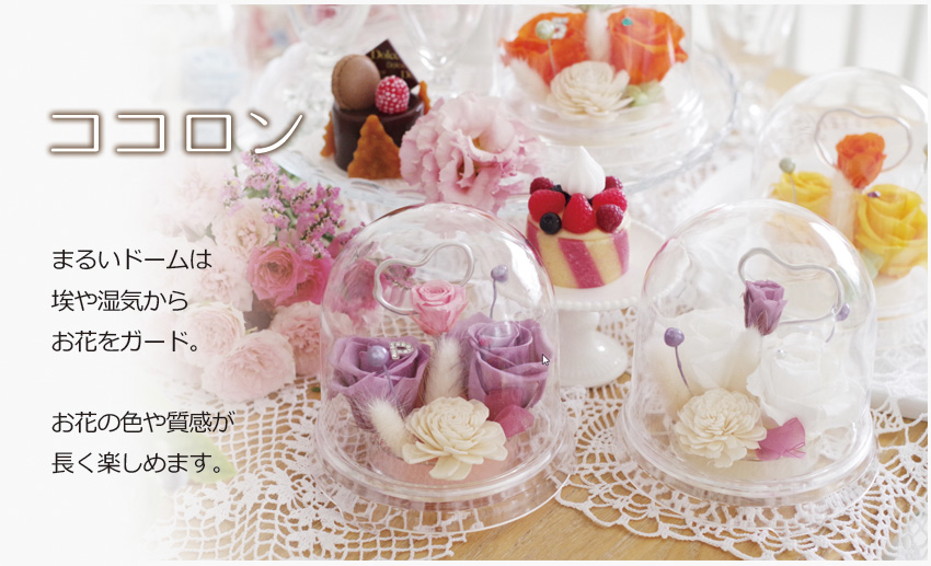 ココロン まるいドームは埃や湿気からお花をガード。お花の色や質感が長く楽しめます。
