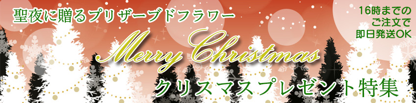 クリスマス特集