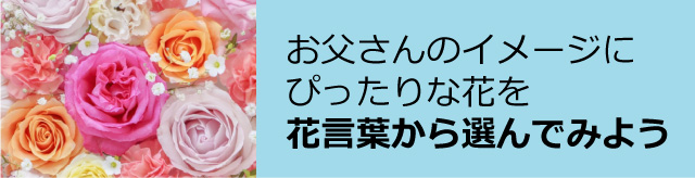 お父さんのイメージにぴったりな花を花言葉から選んでみよう