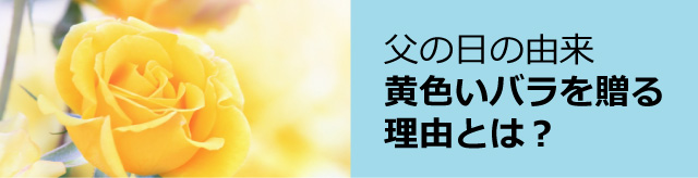 父の日の由来黄色いバラを贈る理由とは︖