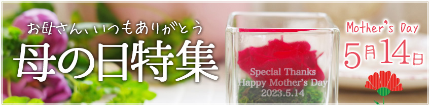母の日特集