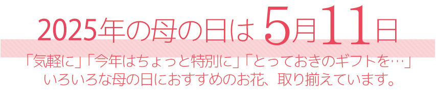 今年2025年の母の日は5月11日。「気軽に」「今年はちょっと特別に」「とっておきのギフトを…」いろいろな母の日におすすめのお花、取り揃えています。