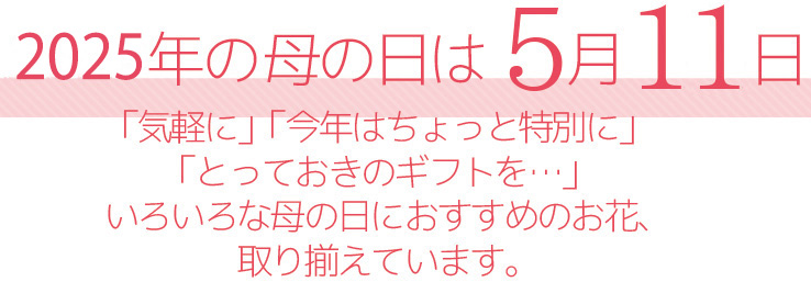 今年2025年の母の日は5月11日。「気軽に」「今年はちょっと特別に」「とっておきのギフトを…」いろいろな母の日におすすめのお花、取り揃えています。